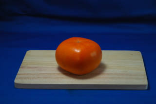 IMGP3361_320.jpg