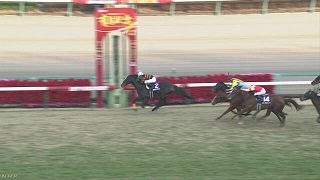 Arimakinen2017NHK_320.jpg